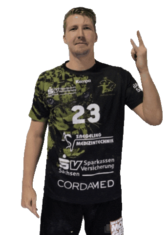 Sport Handball Sticker by hcelbflorenz