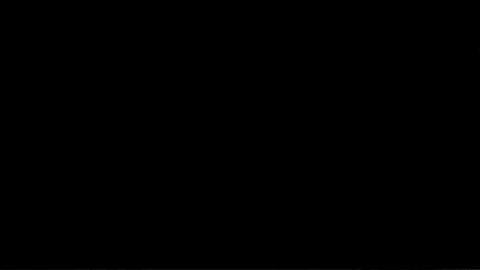 Volleyball GIF by Mizzou Athletics