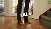 GIF by Tall Guys Free