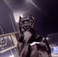 Talking Dog GIF