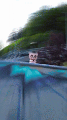 Pony Freddy GIF by Youtooz