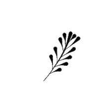 Plante Sticker