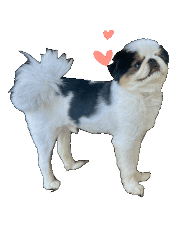 Gary Chelcielynn Sticker by Libbie Higgins