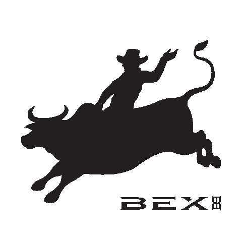 cowboy Sticker by bexsunglasses