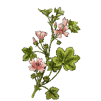 Flower Power Flowers Sticker