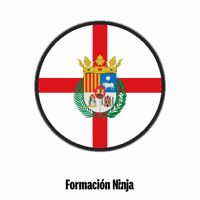 Flag Spain GIF by Formación Ninja