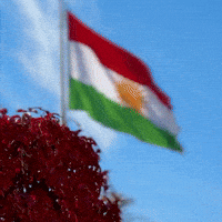 Flag Al GIF