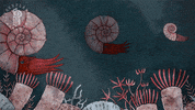 marine life ocean GIF by Other Planes