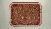 dessert win GIF by Sainsbury's