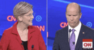 Elizabeth Warren Dnc Debates 2019 GIF by GIPHY News