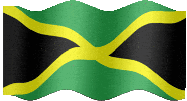 Toronto Jamaica GIF