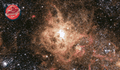 Travel Stars GIF by ESA Webb Space Telescope