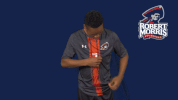 rmuathletics rmu robert morris robert morris university GIF