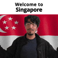Singapore Sg GIF