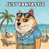 Shiba Inu Whatever GIF by Doge Pound