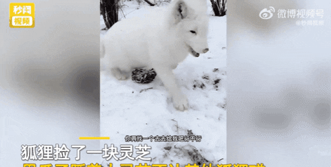 loveeyo giphyupload GIF