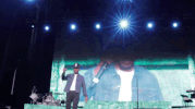 the  meadows festival GIF by The Meadows NYC