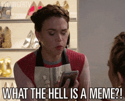 Tv Land What Is A Meme GIF by YoungerTV