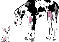 Fetch Best In Show Sticker by Vera Bradley