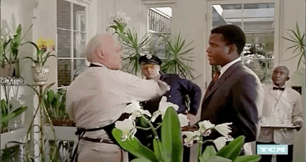 Sidney Poitier Slap GIF by Turner Classic Movies