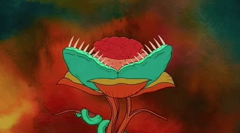 venus trap flower GIF by King Gizzard & The Lizard Wizard