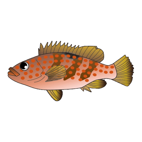 魚 Sticker by harimitsu