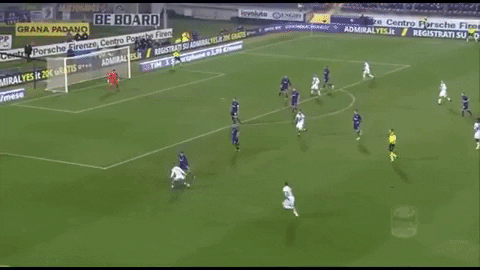 GIF by nss sports