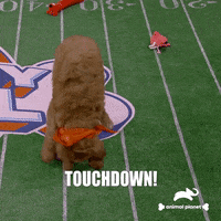 Dogs Love GIF by Puppy Bowl