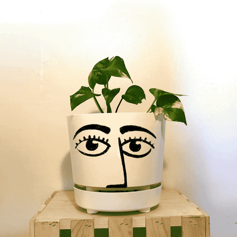 JefCaine giphyupload face plant nervous GIF