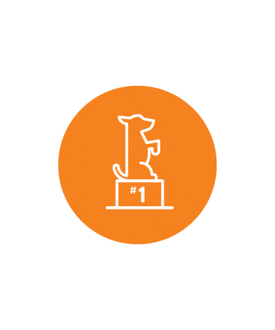 dogtopiacanada bone dog mom tennis ball thought bubble Sticker