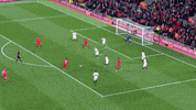 lfc watford GIF by Liverpool FC