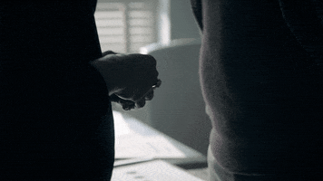 GIF by ProdigalSonFox