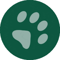 VirtusPet virtus da necessità a virtus virtus pet virtuspet Sticker