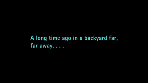 time backyard GIF