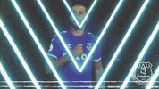 Premier League England GIF by Everton Football Club