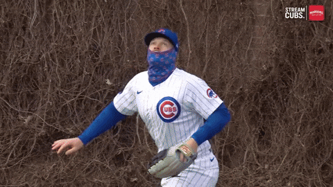 Excited Chicago Cubs GIF by TheDreamTeam 
