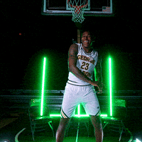 George Mason Gmu GIF by George Mason Basketball