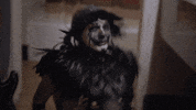 Dragula GIF by BouletBrothersDragula