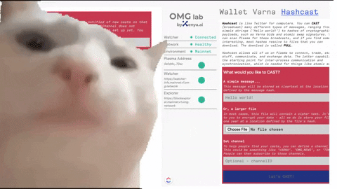 omgnetwork giphyupload GIF