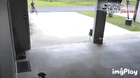 cdongsoo giphyupload GIF