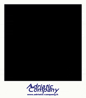 New Post Polaroid GIF by Adriatic Company