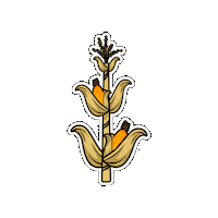 Agronomy Sticker by LG Seeds