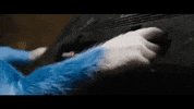 sonic the hedgehog trailer GIF