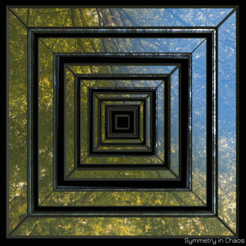 symmetryinchaos giphyupload op #fractal #blender #art #3d GIF