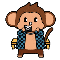 Photography Love Sticker by Chimpers