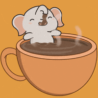 untamedelephants cute coffee animals good morning GIF
