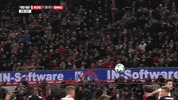 buzzer beater win GIF by 1. FC Köln
