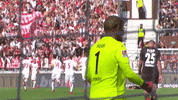 timo horn soccer GIF by 1. FC Köln