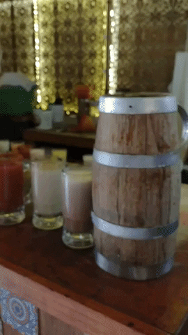 paolaquiroz2b628fa6c77c4606a4b33b0d48c950c3 giphygifmaker pulque GIF