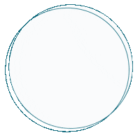 hotel_schwarzbrunn button white button schwarzbrunn hotel schwarzbrunn Sticker